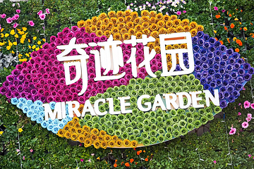上海奇迹花园第 61 张图片