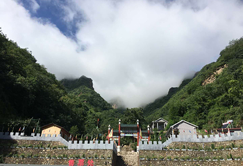 白蛇谷风景区第 8 张图片