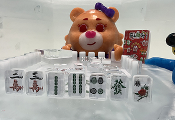泰迪寰球冰雪世界第 25 张图片