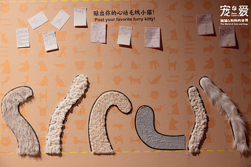深圳博物馆《宠·爱—猫猫狗狗的世界》展览第 5 张图片