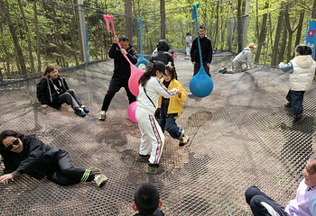 鸡冠山国家森林公园第 28 张图片