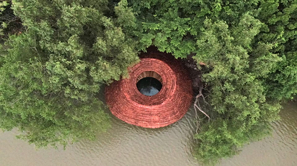 大湾区中央湿地公园第 25 张图片