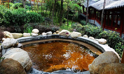 蒙山康谷温泉第 5 张图片