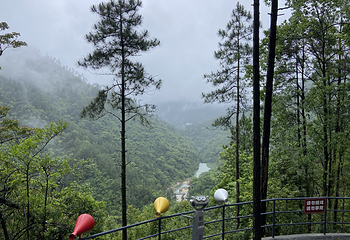 厦门野山谷景区第 27 张图片