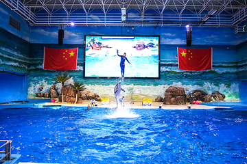 赣州极地海洋世界第 33 张图片