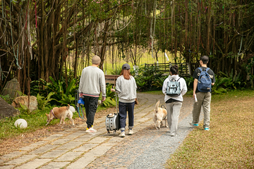广州山谷国际旅游度假区第 39 张图片