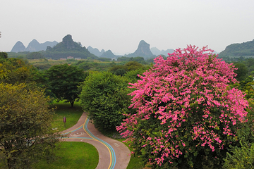梦想城旅游景区第 13 张图片
