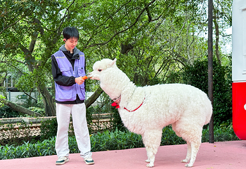 云山丛林飞跃乐园第 42 张图片