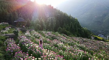 布尼梯田加乌瀑布景区