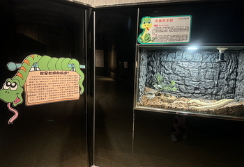 蛇文化展览馆第 12 张图片