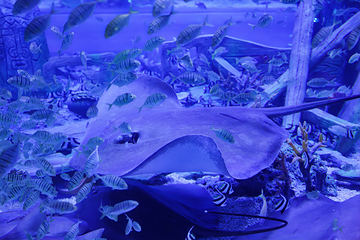 深圳恒远海立方环游城第 26 张图片