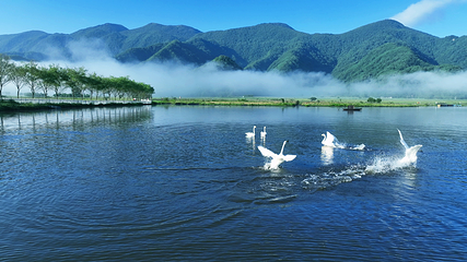 大九湖国家湿地公园第 4 张图片