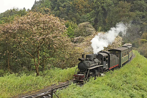 嘉阳桫椤湖旅游景区