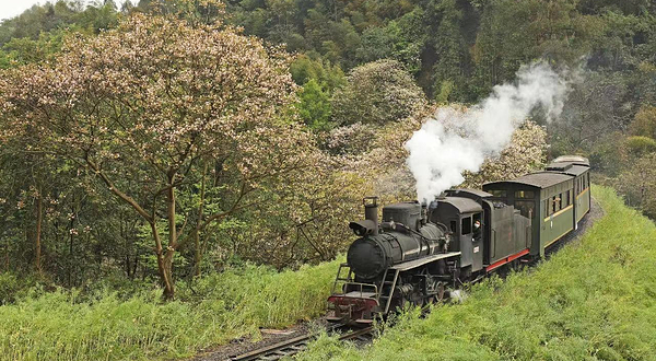嘉阳桫椤湖旅游景区