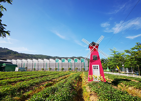 绿沃川智慧农业观光园