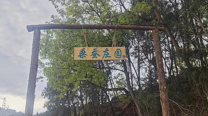 蜀蚕·桑蚕庄园第 1 张图片