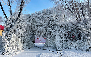 太阳岛雪博会第 71 张图片