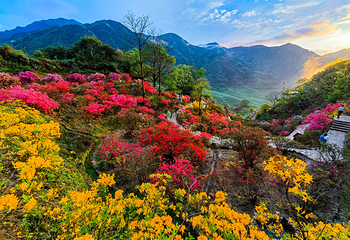 婺源篁岭景区第 60 张图片