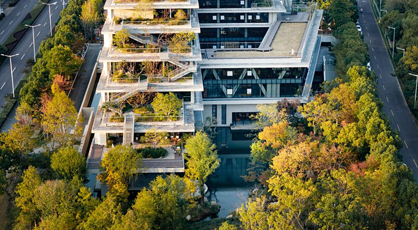 洄归·生态美学空间