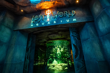 迪拜“失落的世界”水族馆第 18 张图片