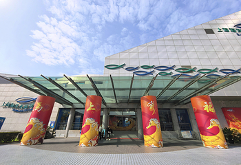 上海海洋水族馆第 30 张图片
