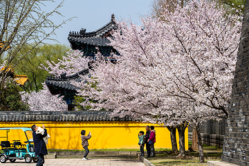 三国水浒景区(中央电视台无锡影视基地)第 39 张图片