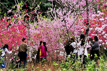 罗源畲山水景区第 15 张图片