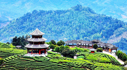 仙人山景区第 13 张图片