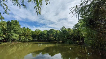 树间跳动森林探索营地(上海申亚生态林店)