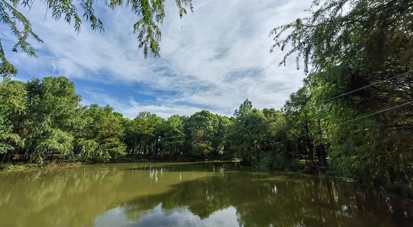 树间跳动森林探索营地(上海申亚生态林店)