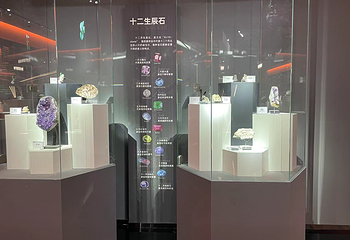 地球之光自然奥秘博物馆(京东MALL大东龙之梦店)第 5 张图片