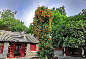 张仲景博物院(医圣祠)第 4 张图片