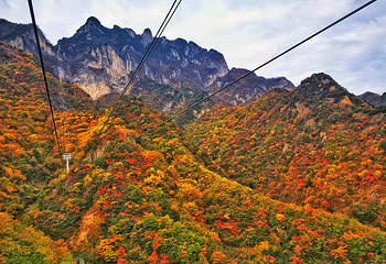秦岭天竺山生态文化旅游景区第 48 张图片
