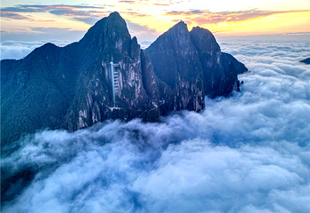 莽山五指峰景区第 51 张图片