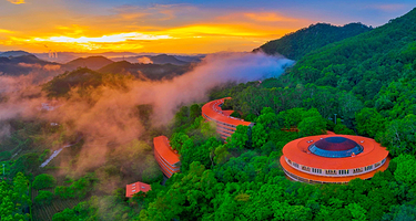 雁南飞茶田景区