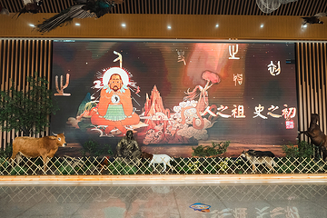豫见奇妙动物标本馆第 12 张图片