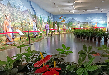 岜山中医药健康旅游示范基地第 42 张图片