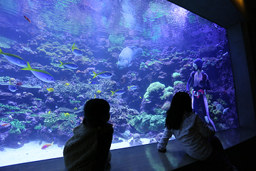 大分海之卵水族馆第 11 张图片