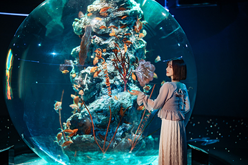 神户都市型水族馆 AQUARIUM×ART átoa第 1 张图片