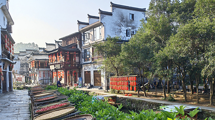 婺源风景区第 186 张图片