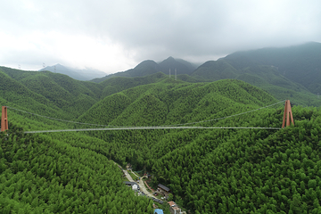 中国大竹海景区第 43 张图片