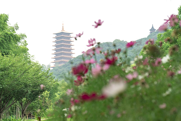 牛首山文化旅游区第 206 张图片