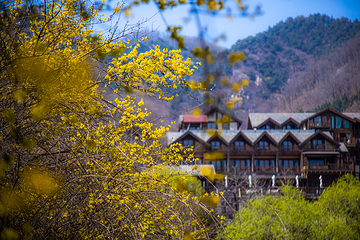 九如山休闲旅游度假区第 96 张图片