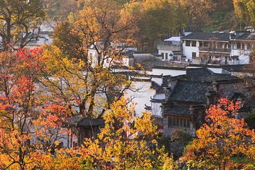 塔川第 75 张图片