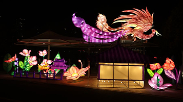 自在随州·好巳年年新春灯会