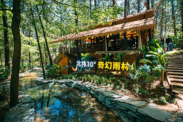 茅山森林世界第 72 张图片