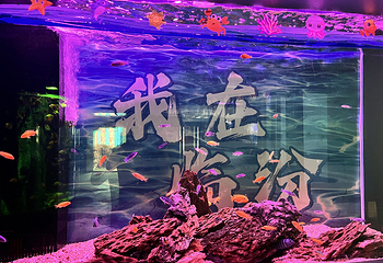 临汾海昌海洋探索馆第 51 张图片
