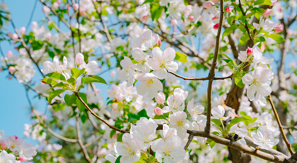 唐山南湖开滦旅游景区