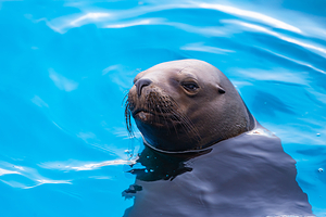 娄底海昌海洋探索馆