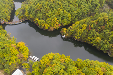 洛阳白云山风景区第 88 张图片